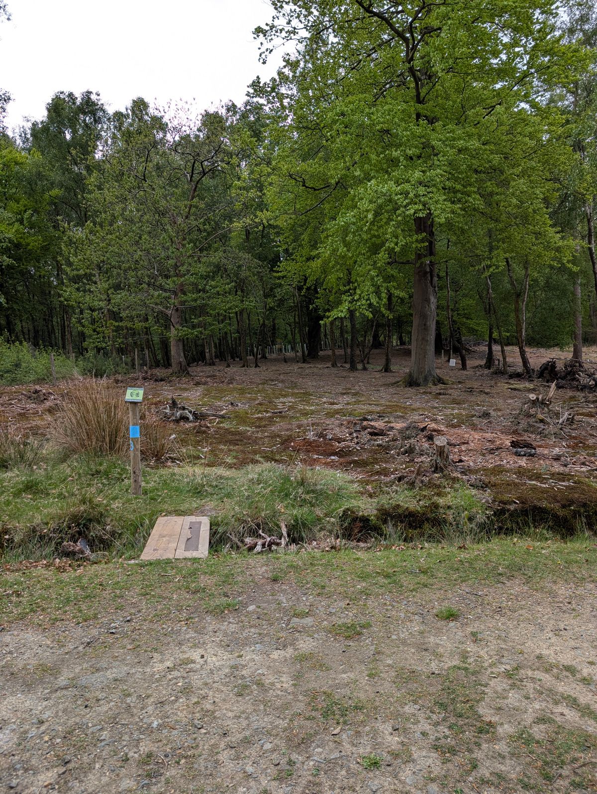 Hole 13 tee blue