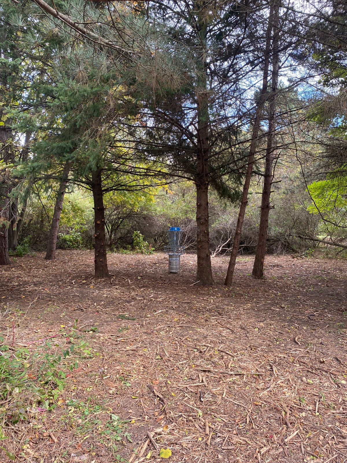 Hole 4 Basket