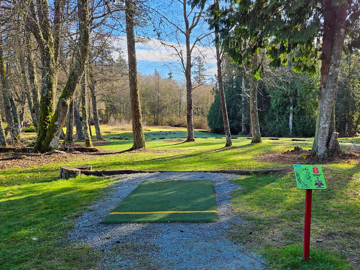 Hole 8 tee pad