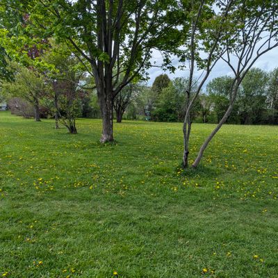 TEE 18.
*IMPORTANT: The Single Tee brick acts like a marker and you can only throw from behind the marker, not for either side or in fro