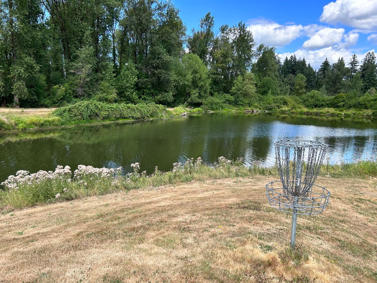 Hole 16 has a blackberry-lined fairway that opens up to hilltop basket surrounded by water