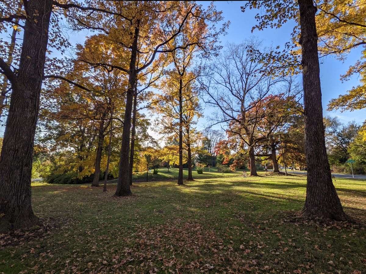 Hole 13's green in November.