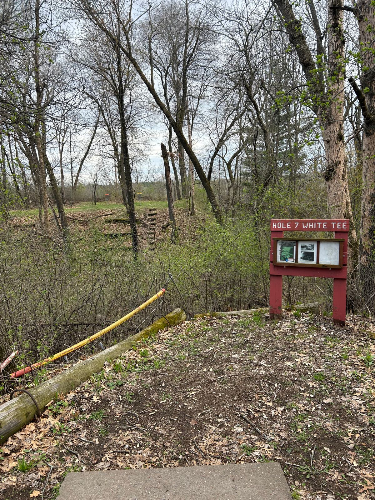 Hole 7