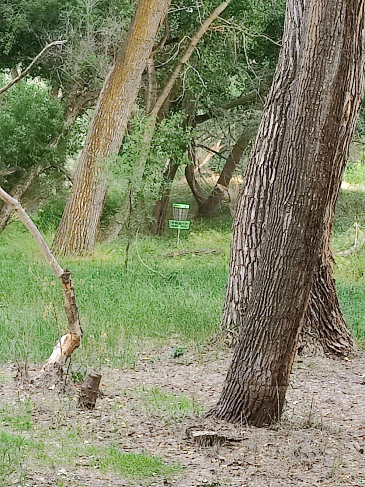 Hole #2 basket