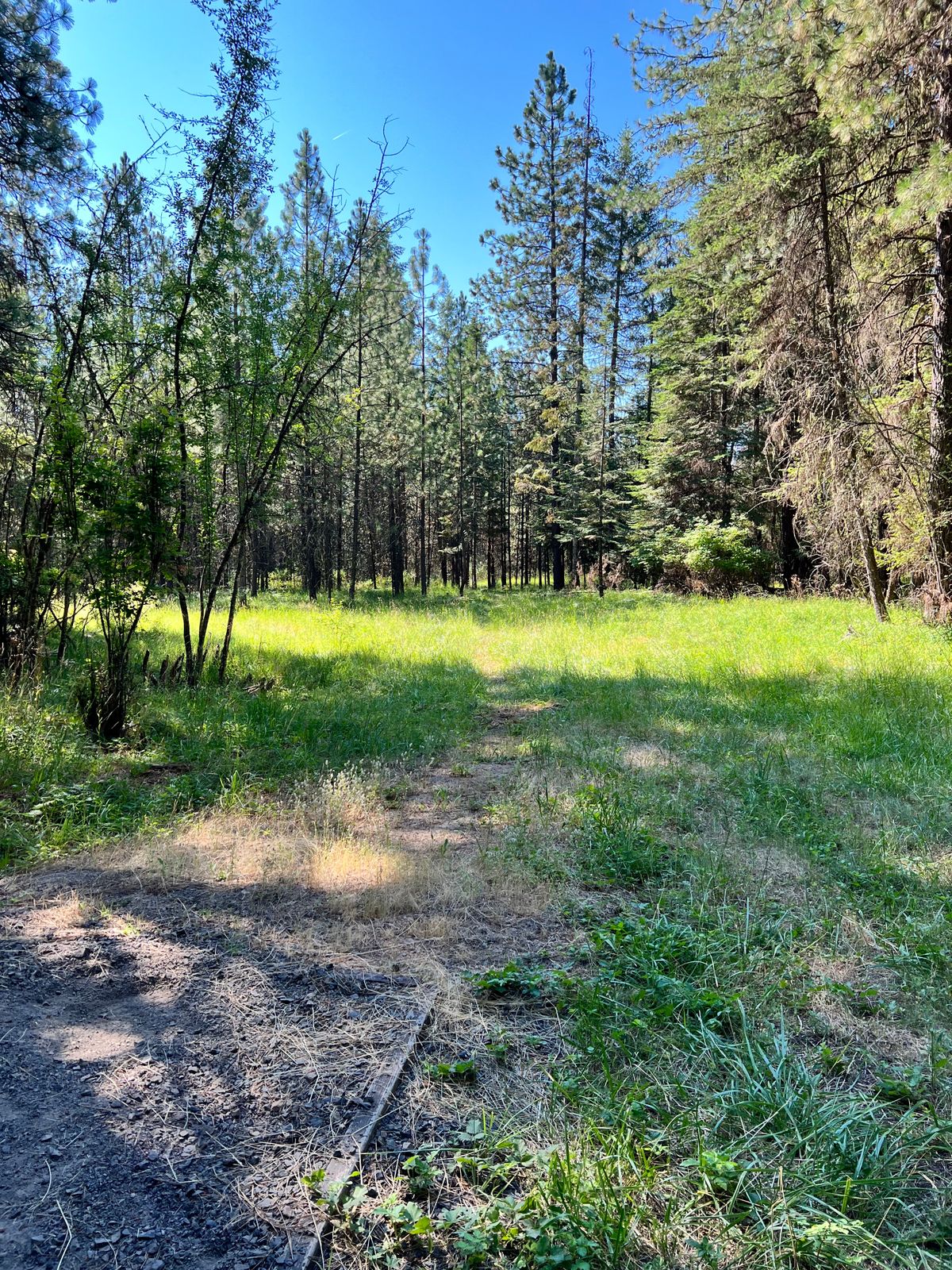 Hole 16 Tee