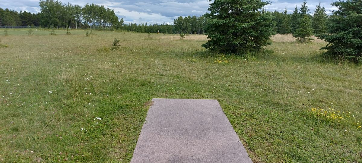 Great potential Disc Golf course needs tee signs and arrows pointing to next basket.