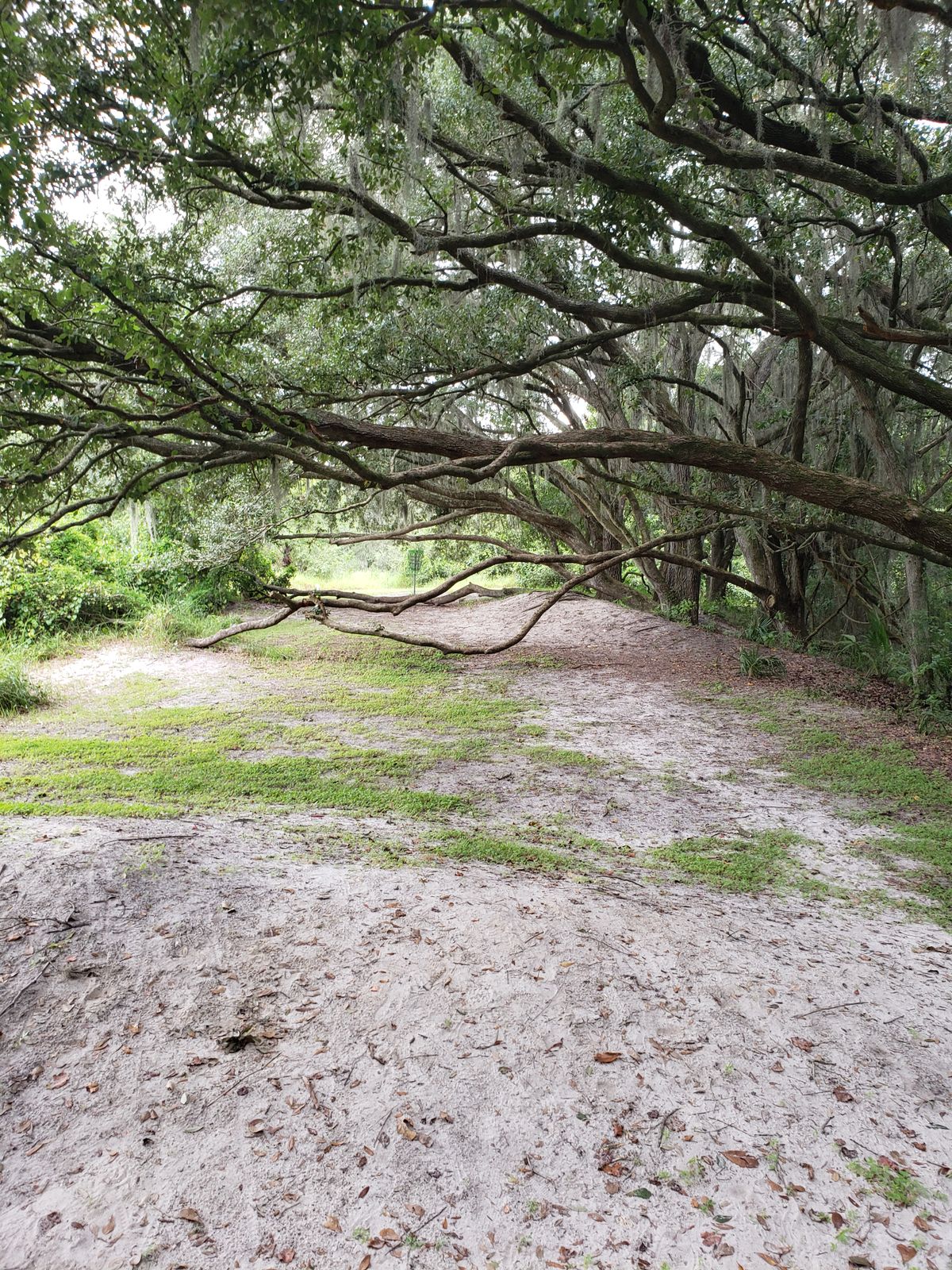 #5 Approach