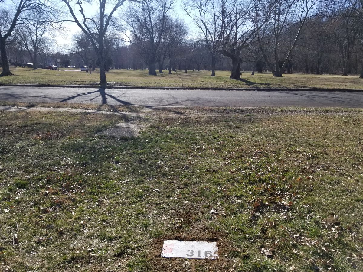 Tee 5