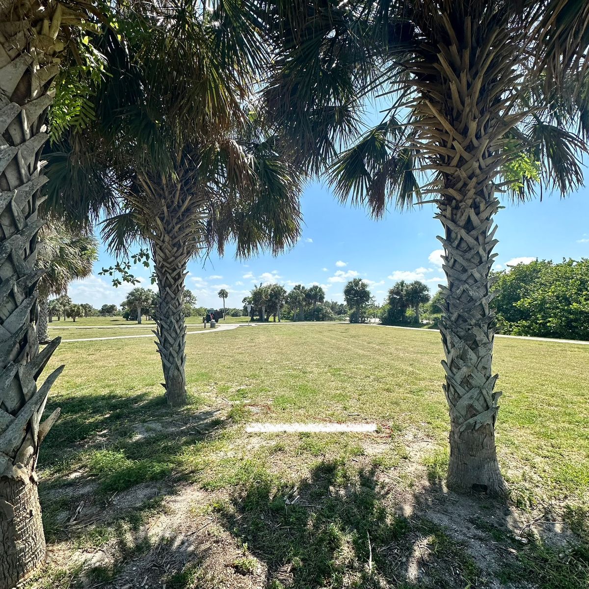 Hole 1 white