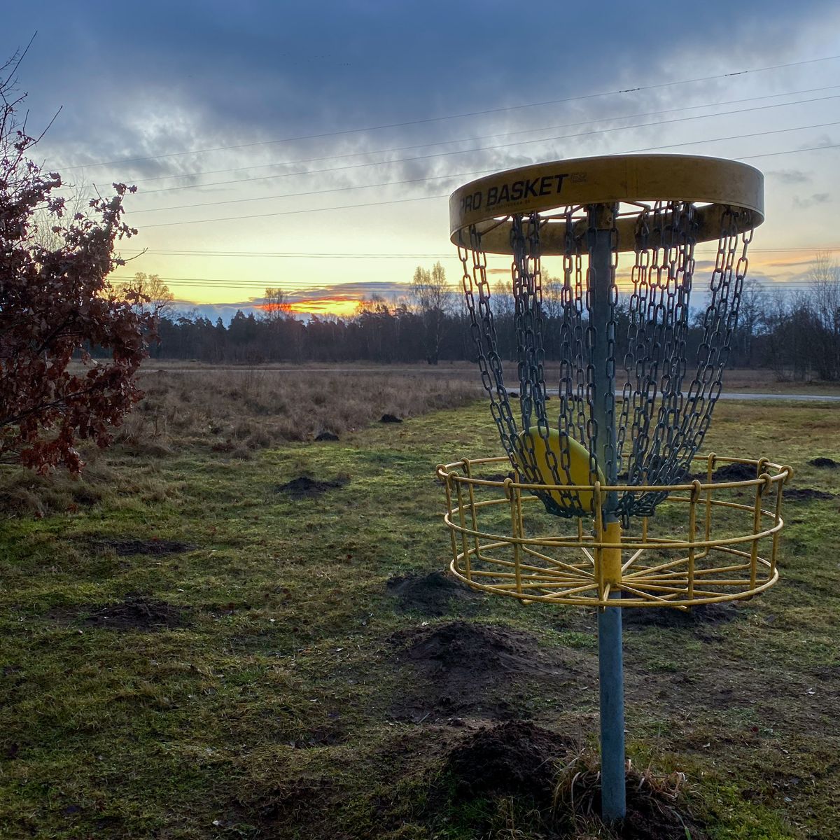 @DiscgolfSweden plays in the sunrise