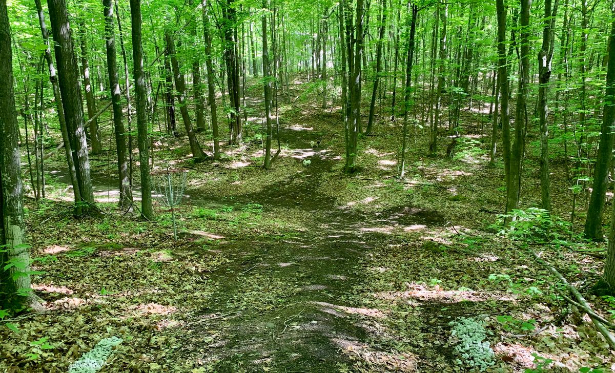 Hole 17