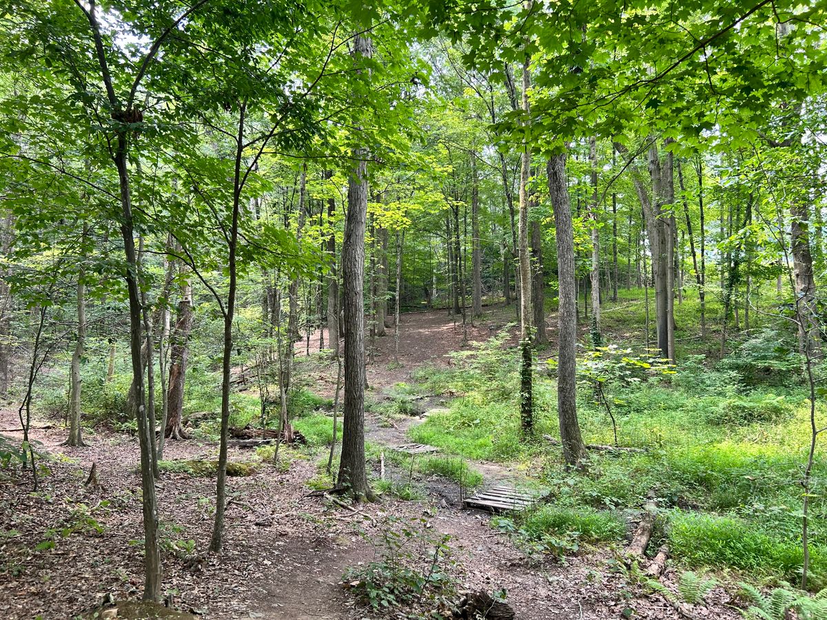 Hole 16
