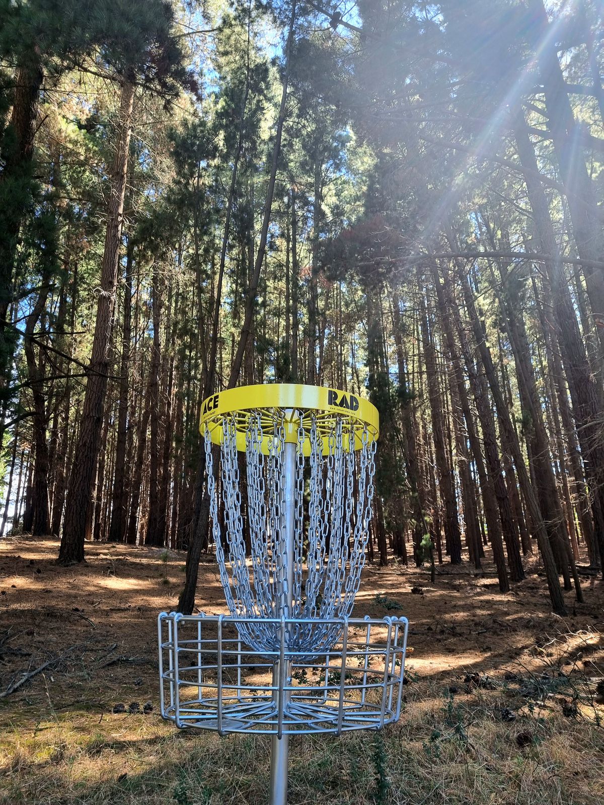 Hole 7 in the Sun.