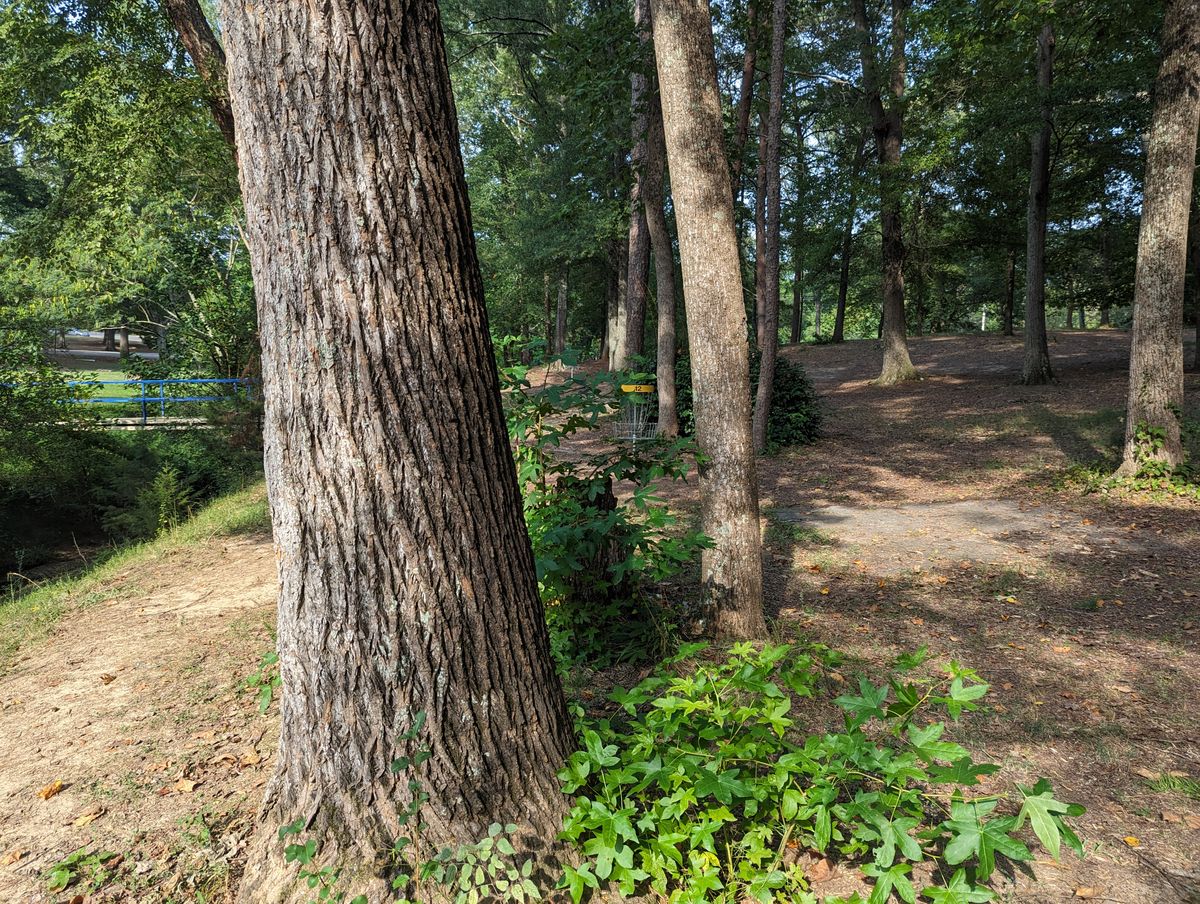 Basket of hole 12