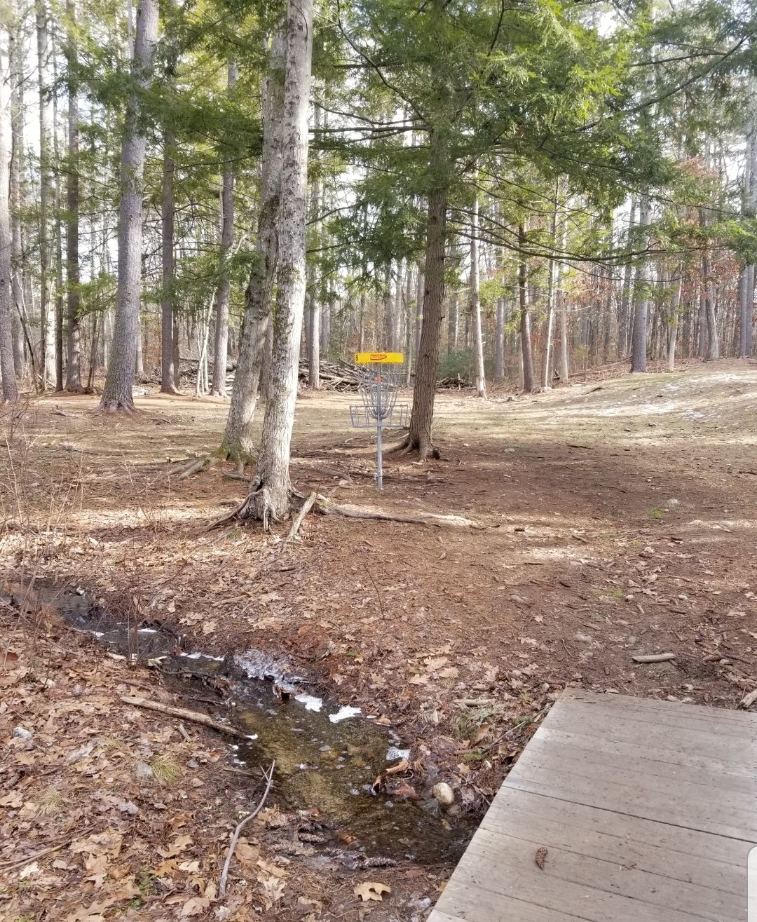 Hole 8 (short pin)