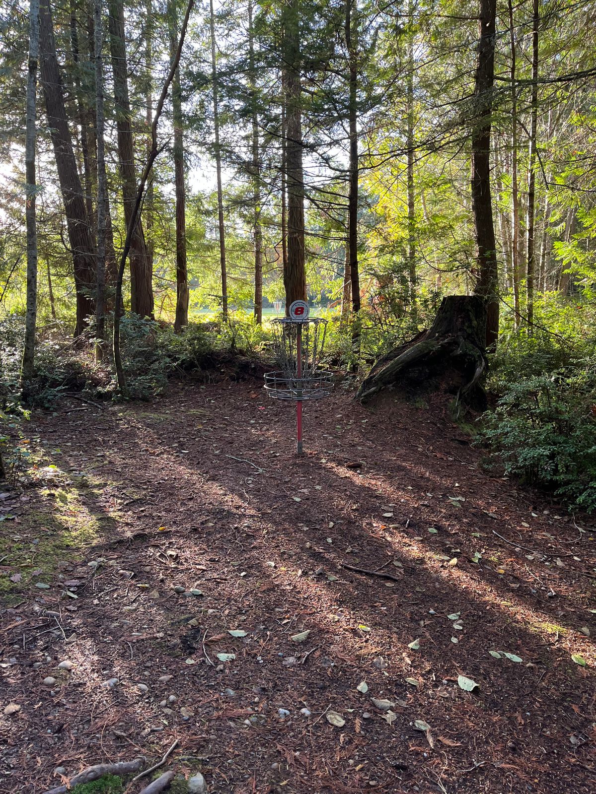 Green of Hole 8