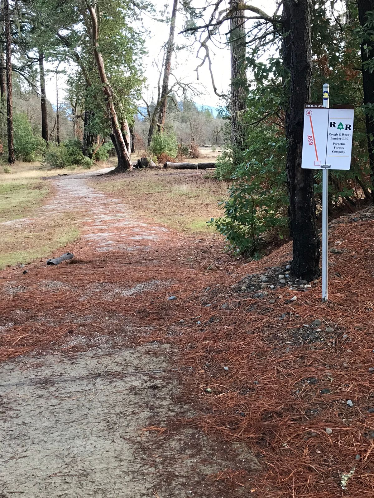 Elevated Tee 4-long par 4