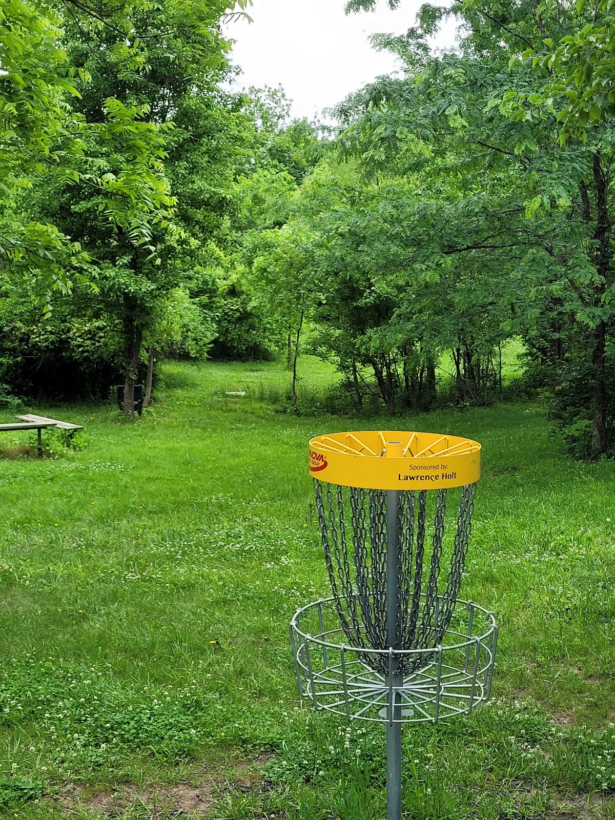 Hole 14 main basket to tee