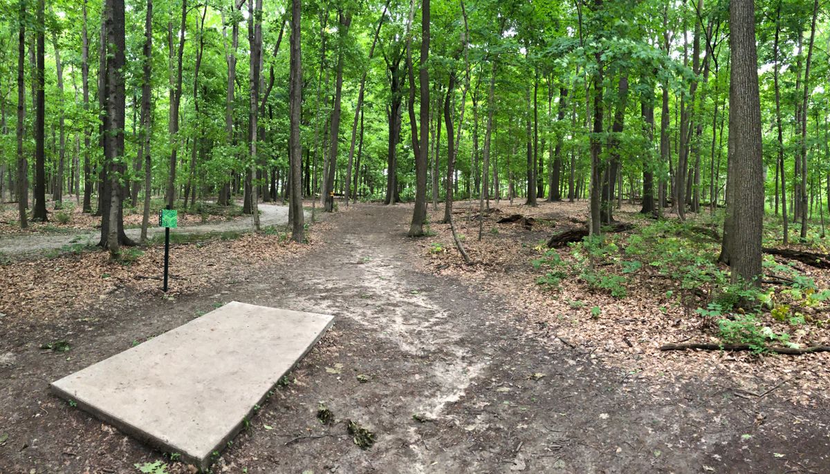 Lots of trees! Lines are fair.