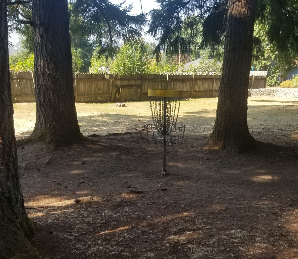 9th hole basket. Slightly guarded by trees