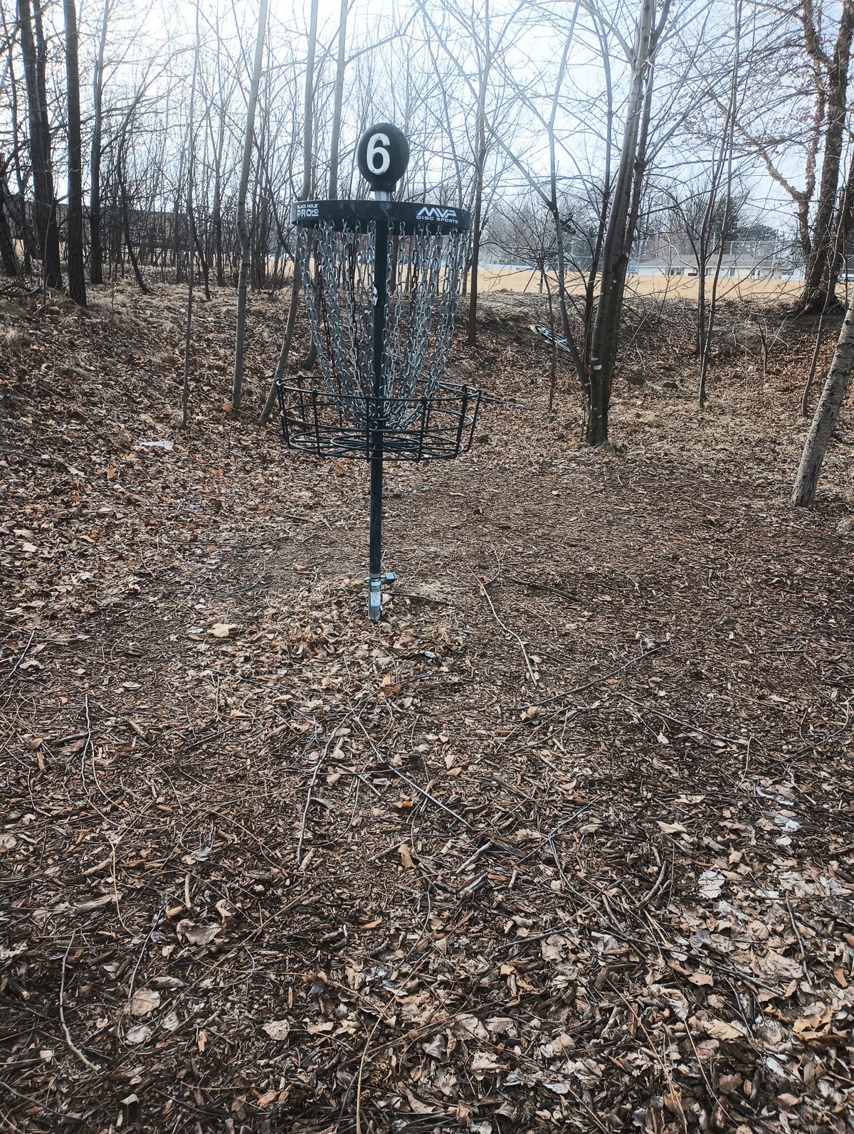 Hole six basket