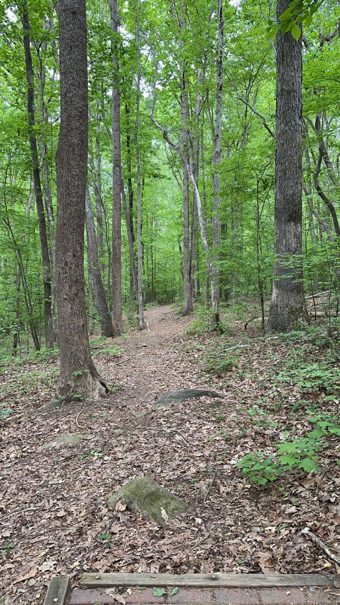 Hole 4