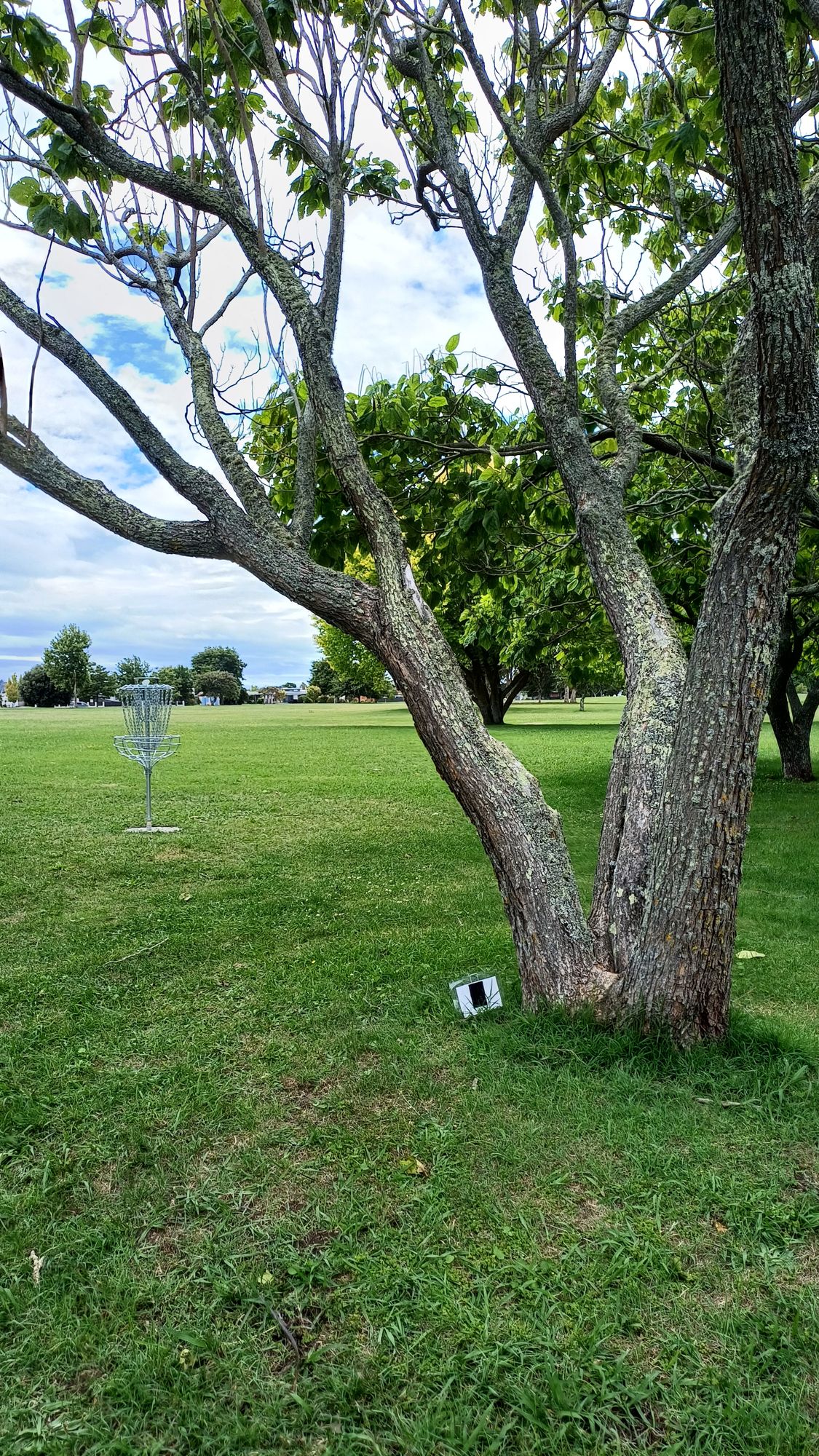 Hole 6