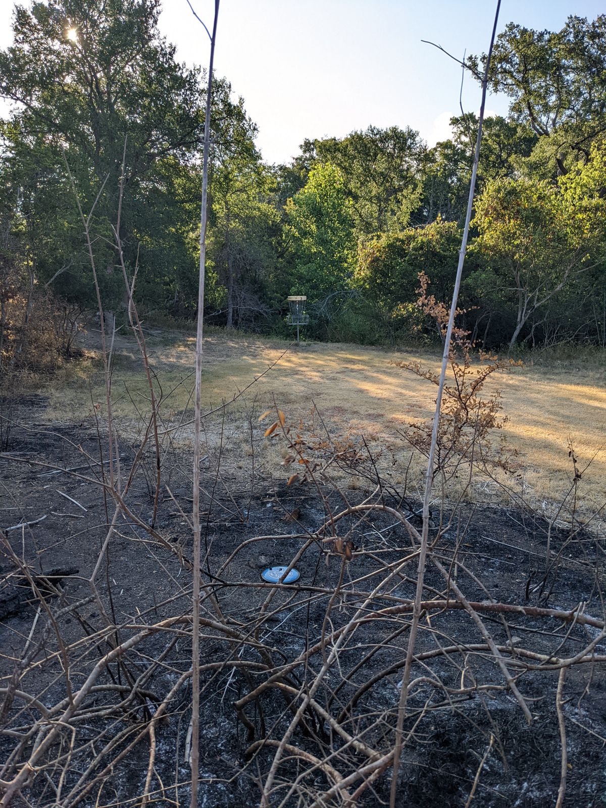 They recently burned the brush back. C2 look at basket 3.