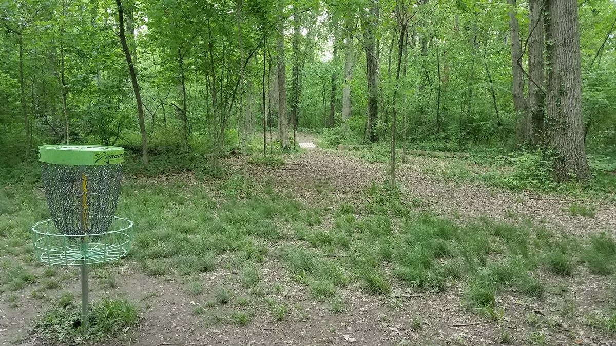 From the short position looking to the long, over bridge. Dogleg