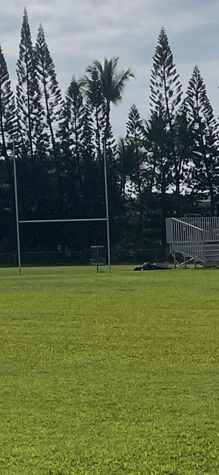 Split the uprights