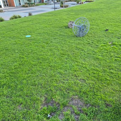 Hole 5 has been removed.
Tee marker gone as well. Being moved?