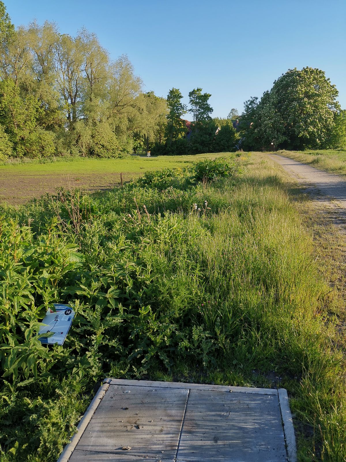 Hole 14