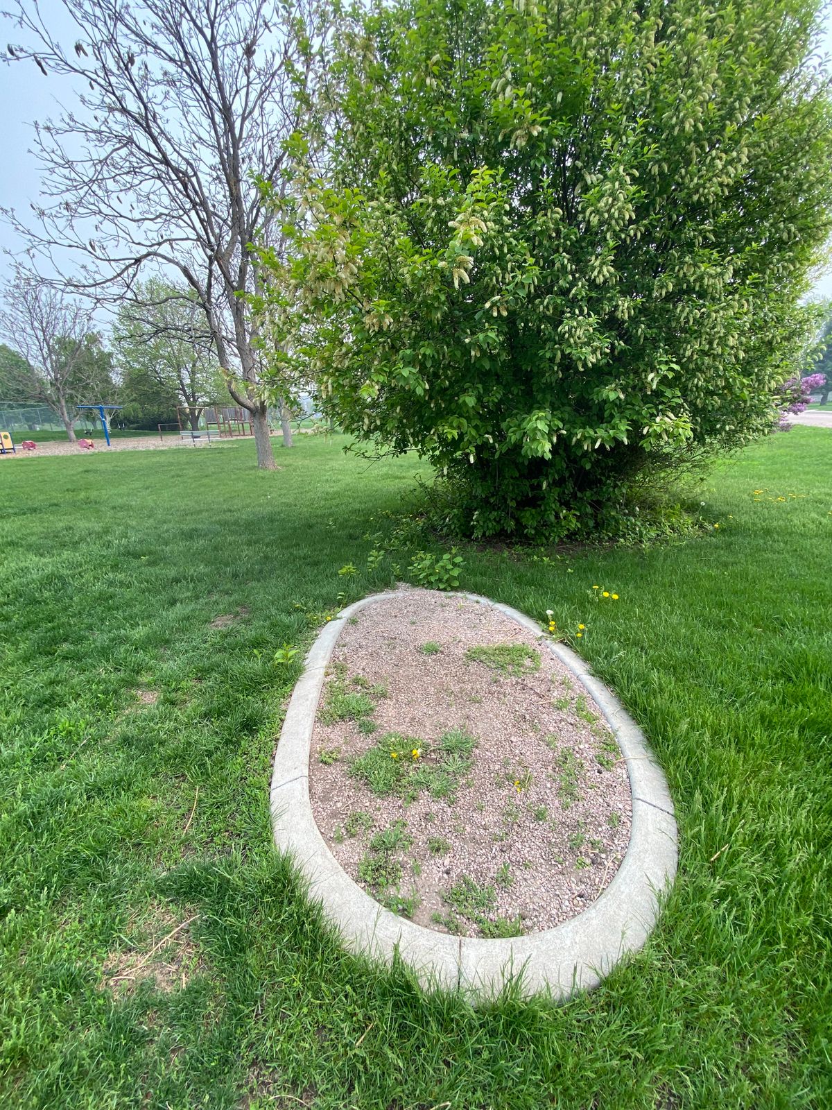 Hole 9 tee box