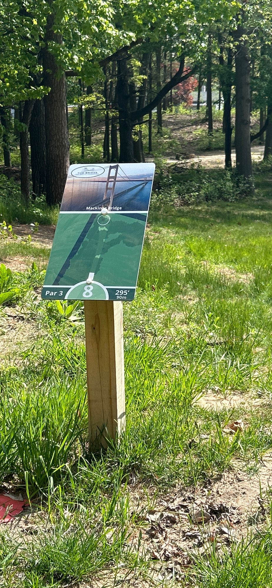 Hole #8 Tee