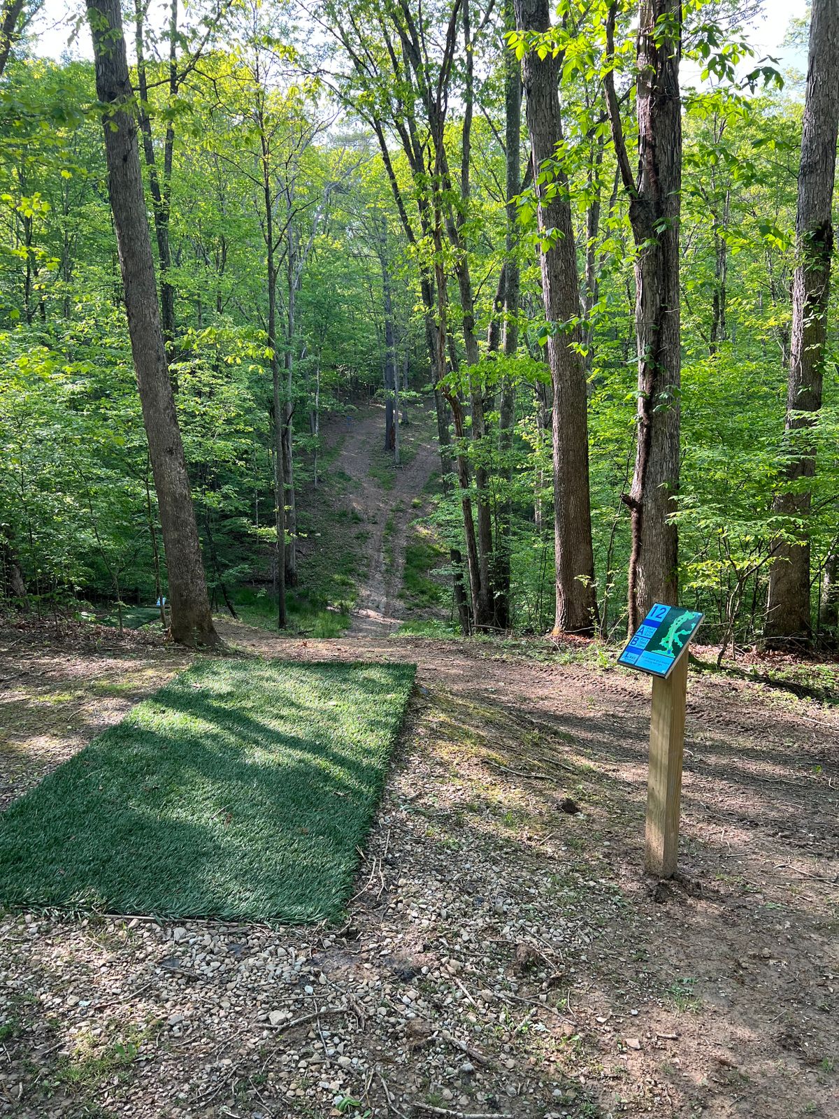 Hole 12 Blue Tee