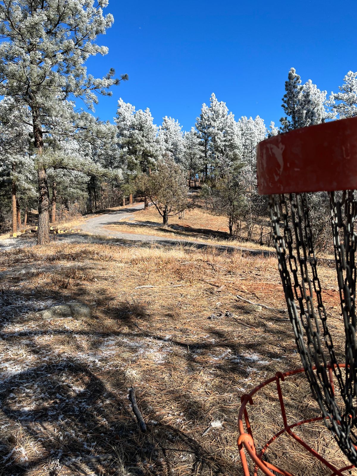 Hole 7 - down the logging road, left is OB