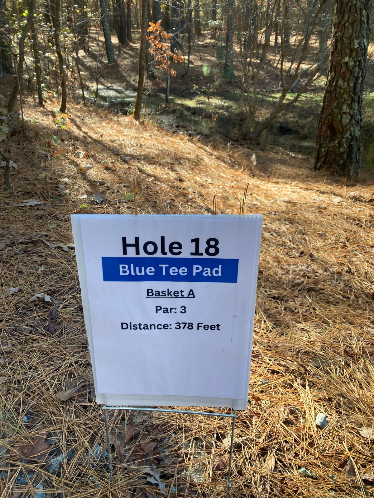 Hole 18 Blue Tee Sign