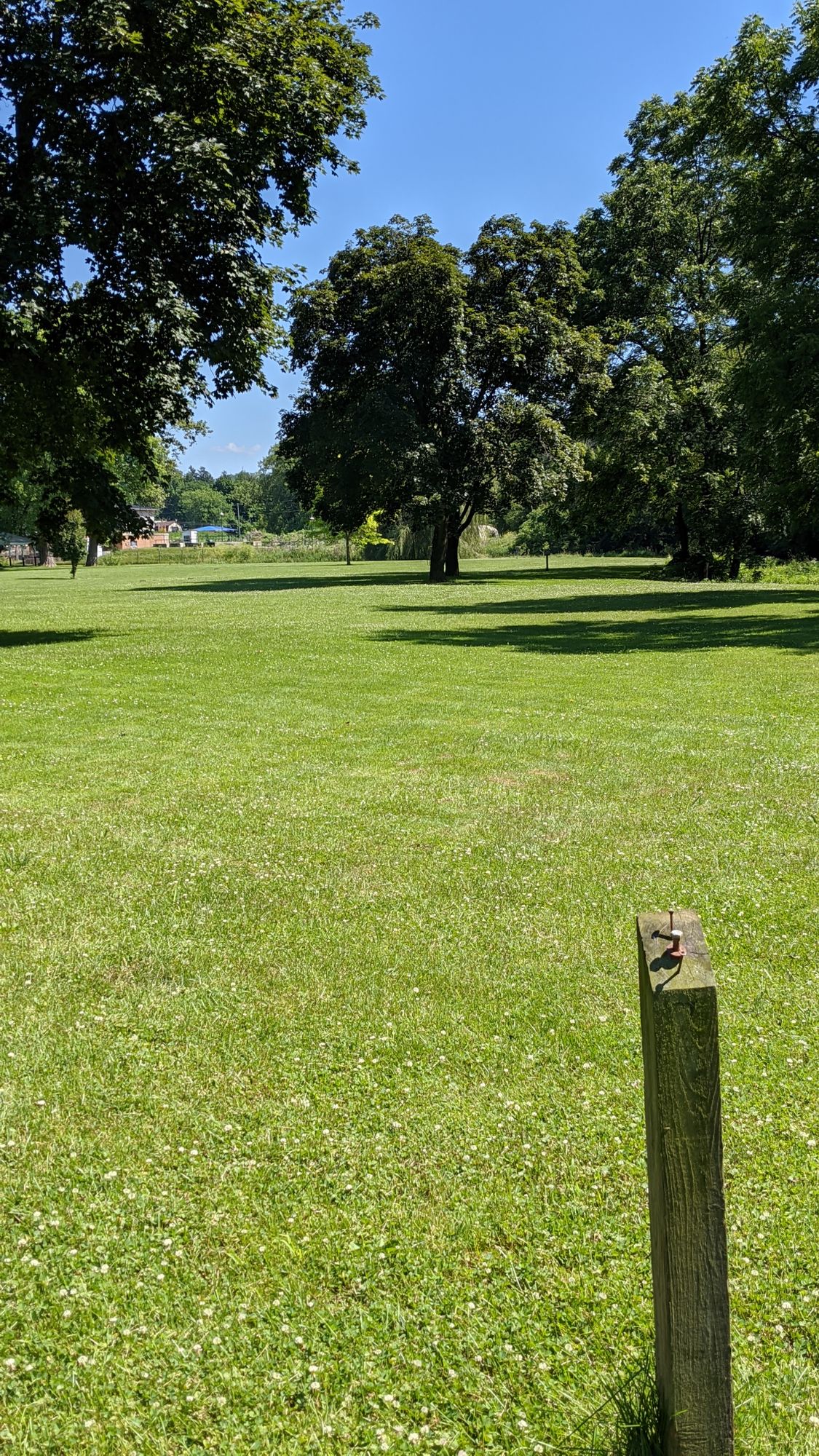 Tee pad #7