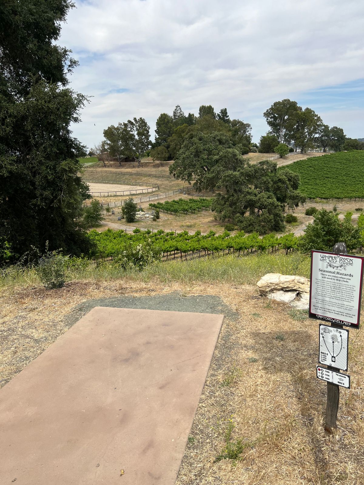 Throwing from the top of the hill to either the pyramid on the left or a basket to the right of the large oak tree. Just stay out of the vines!