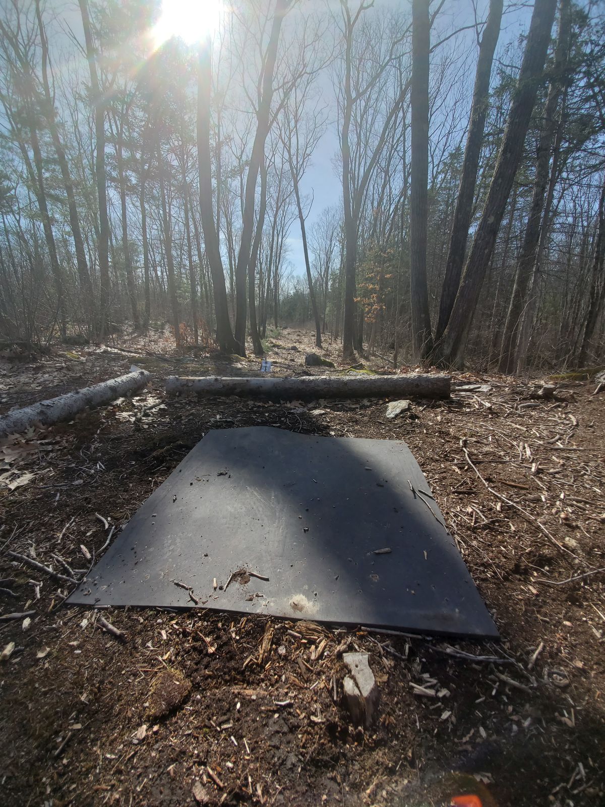 Hole 4 tee pad.