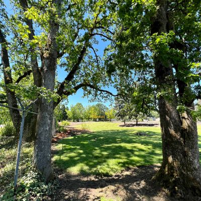 Hole 3 tee