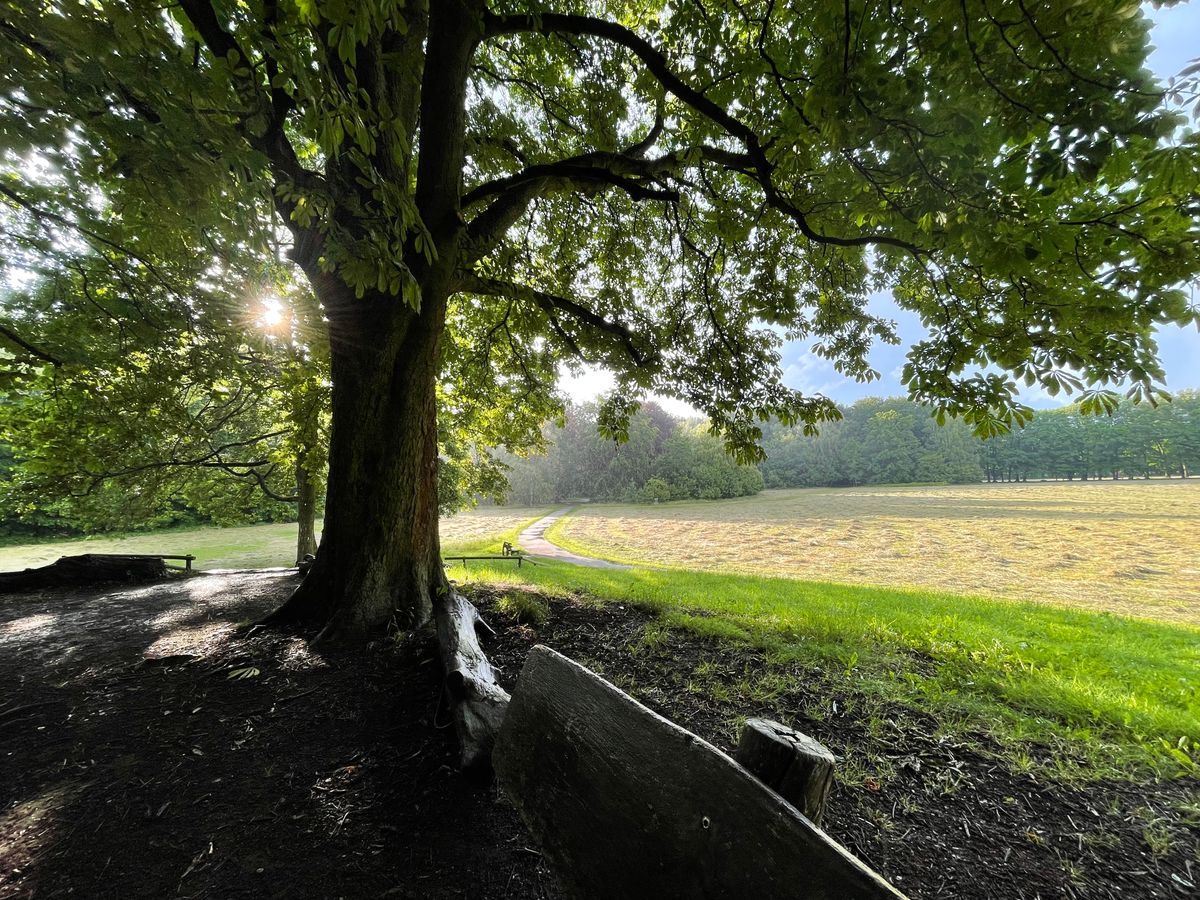 Aussicht von Bahn 6 (Tellerberg)