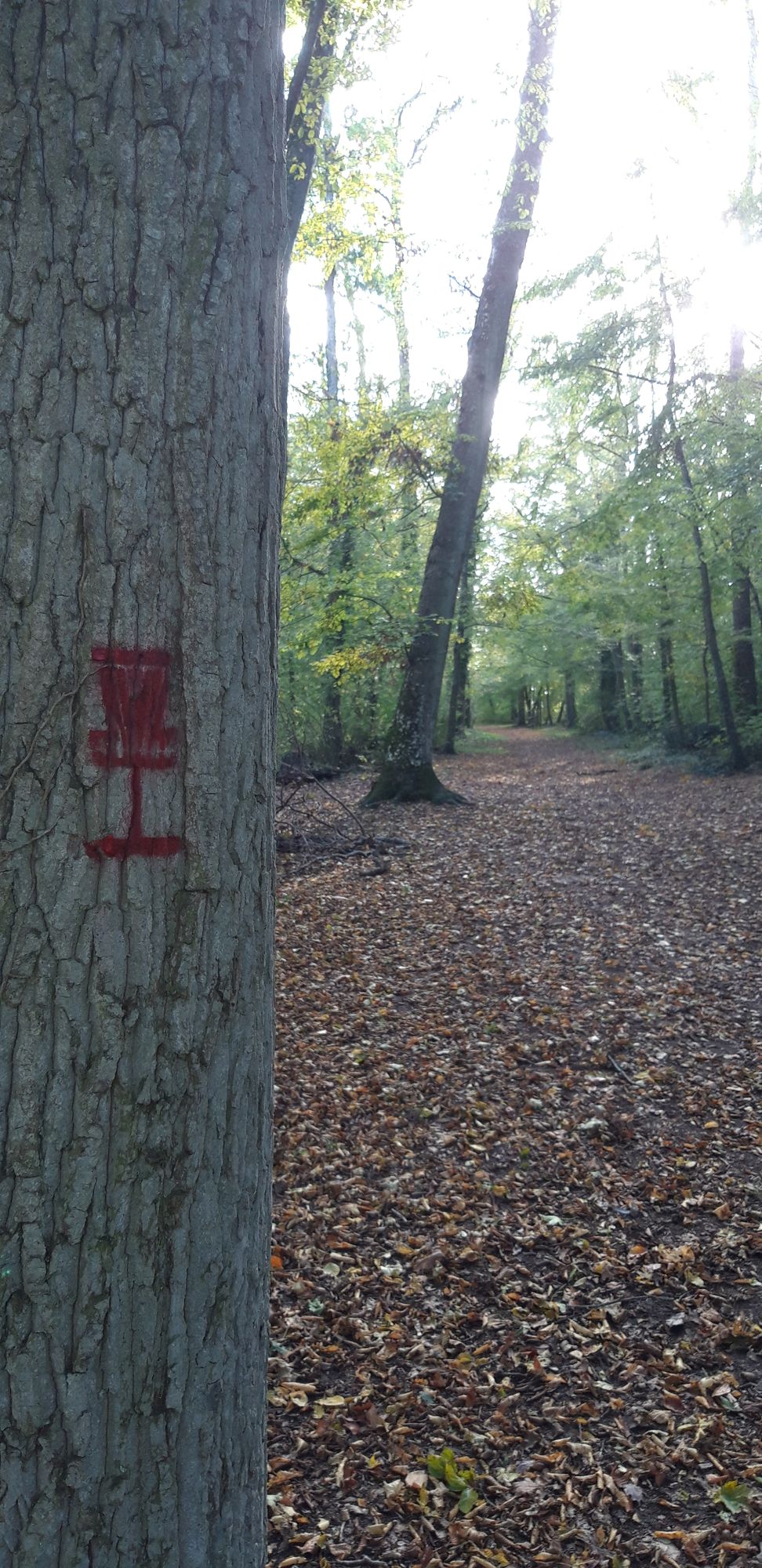 Photo d'une marque rouge matérialisant le départ débutant