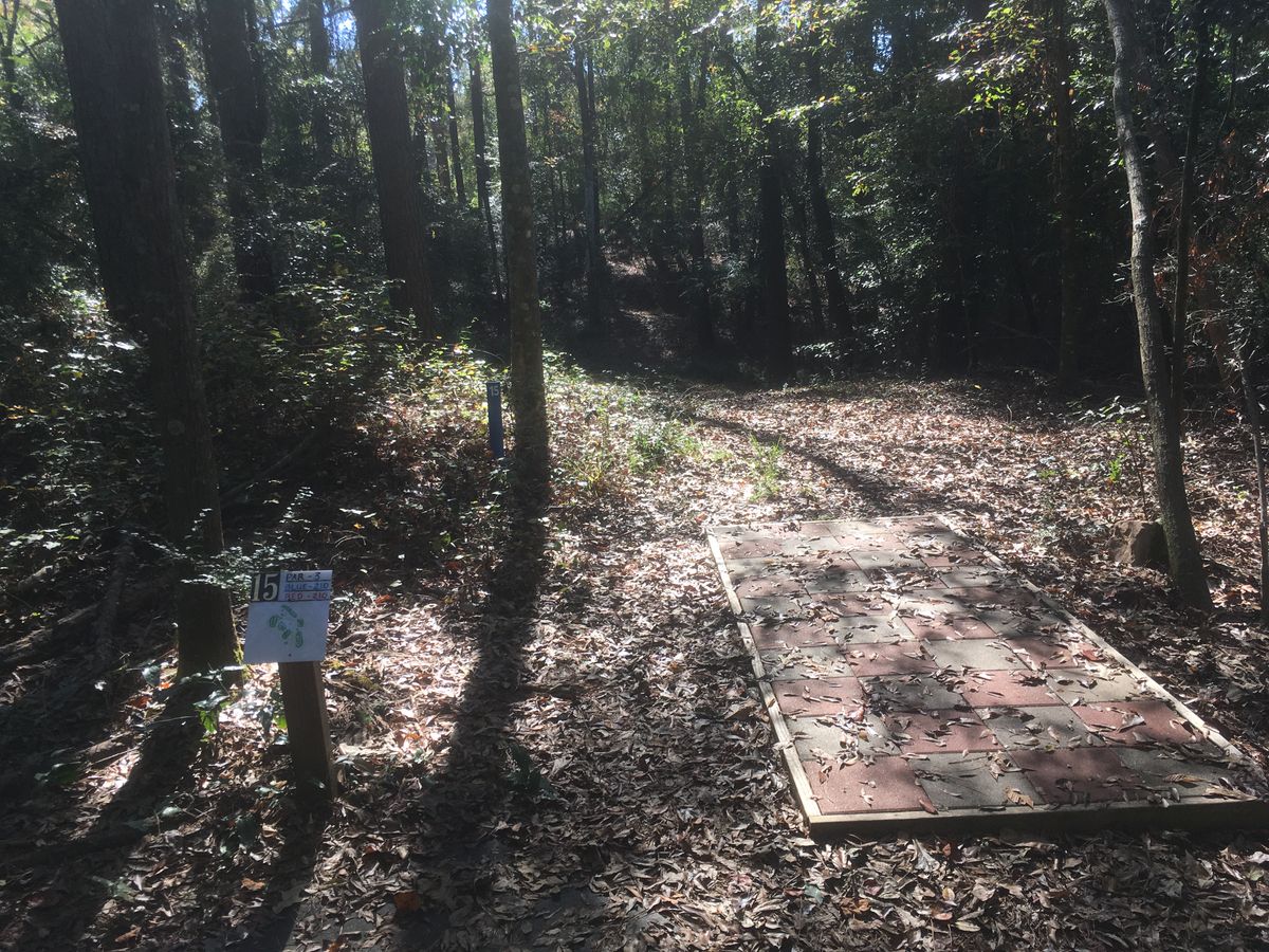 Hole 15 Tee