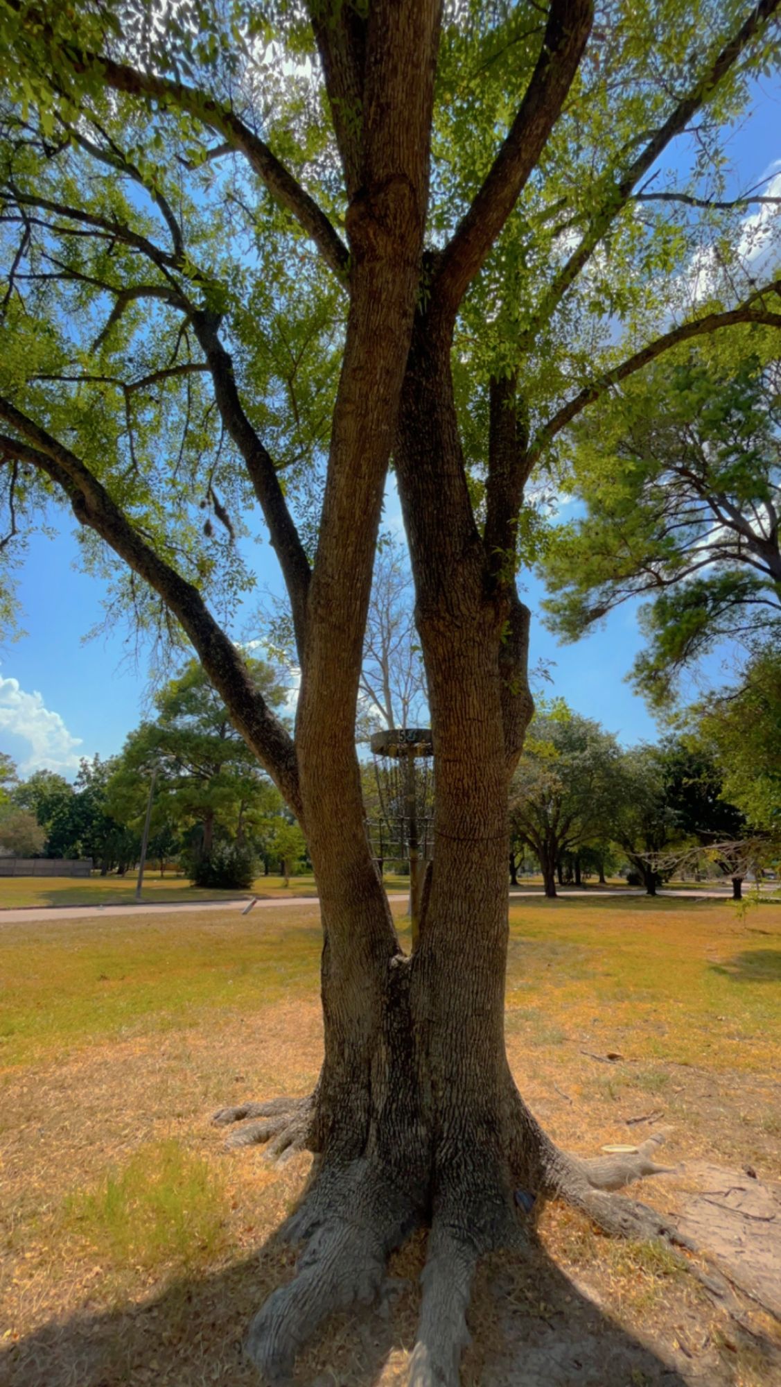 Hole 2 Basket