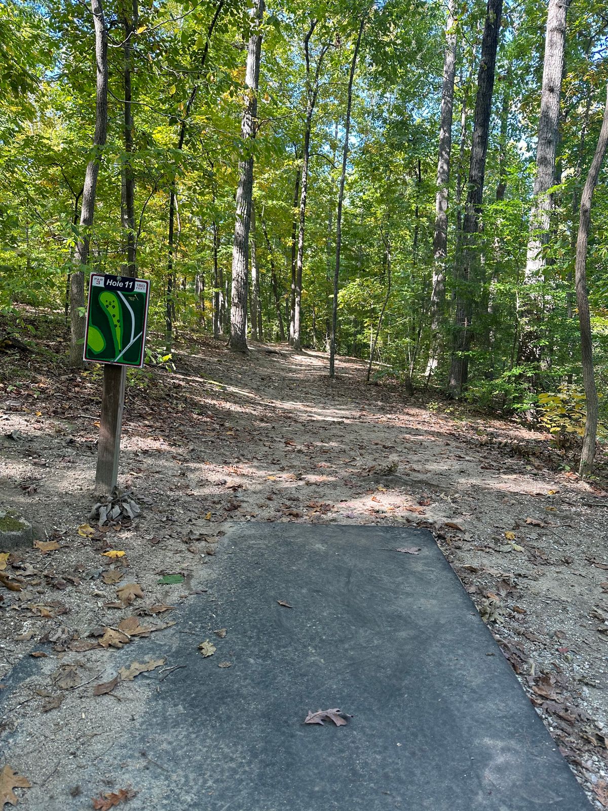 Hole #11