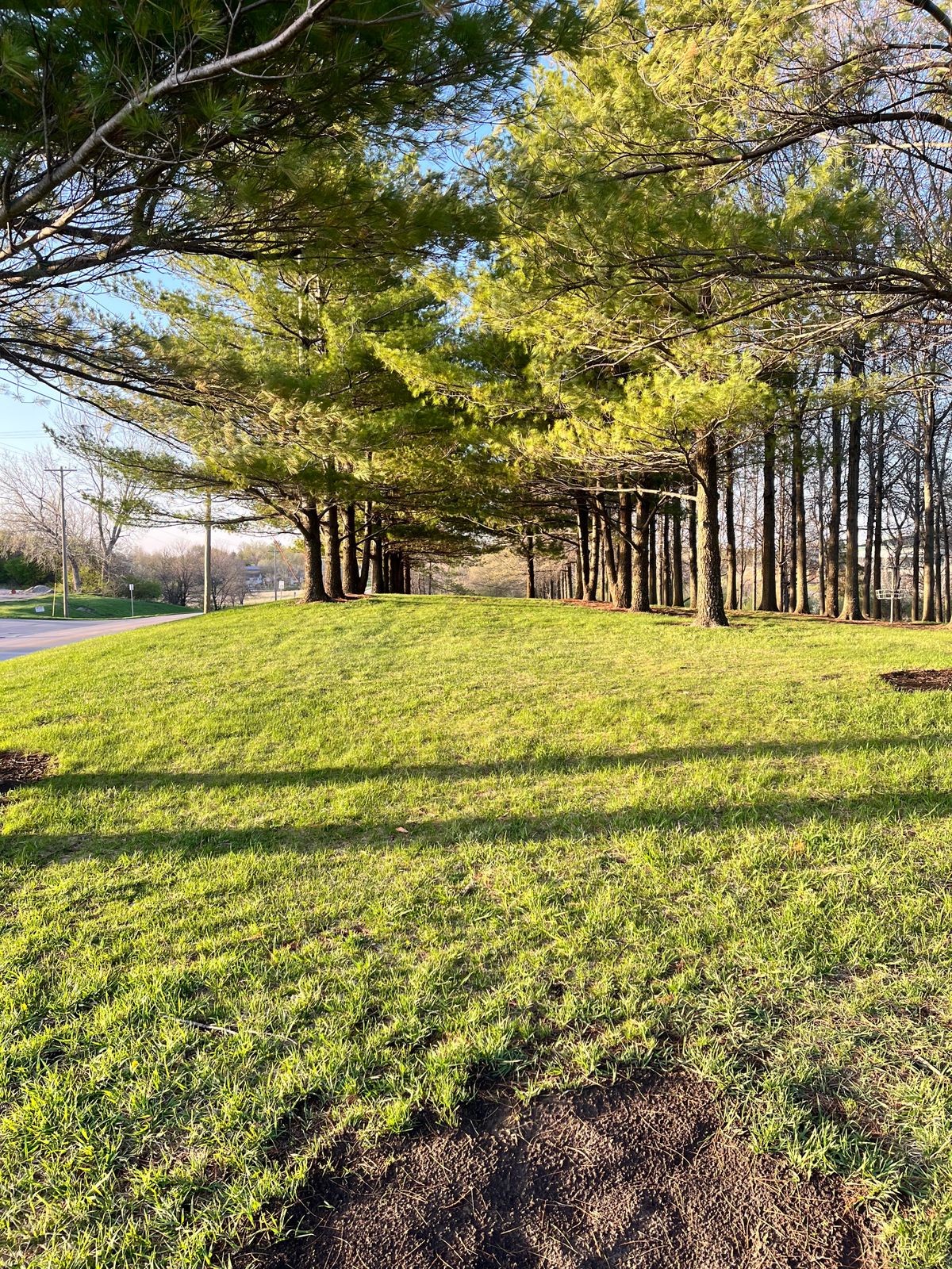 Hole 8 Tee shot