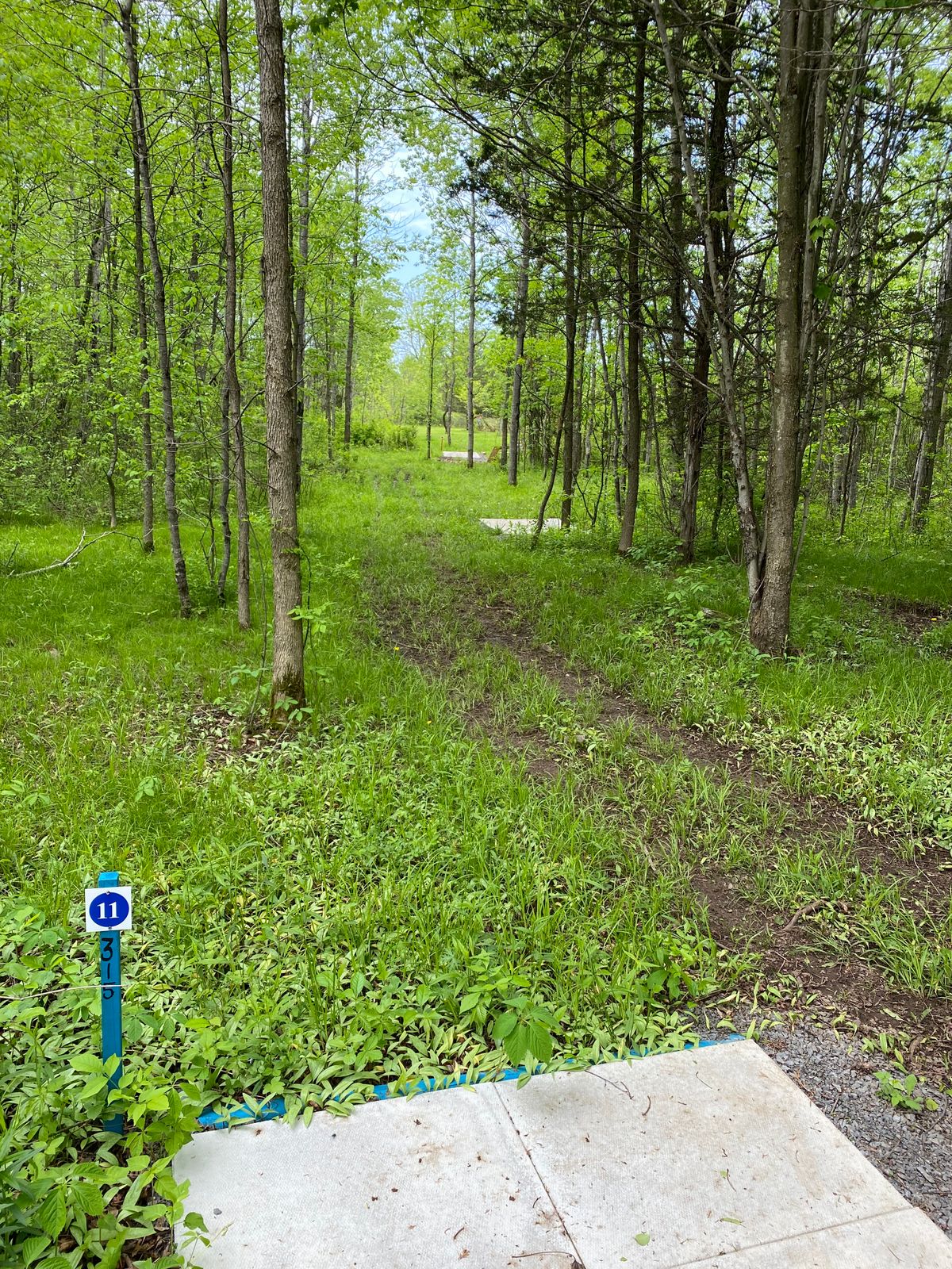 The three tee pads for hole 11