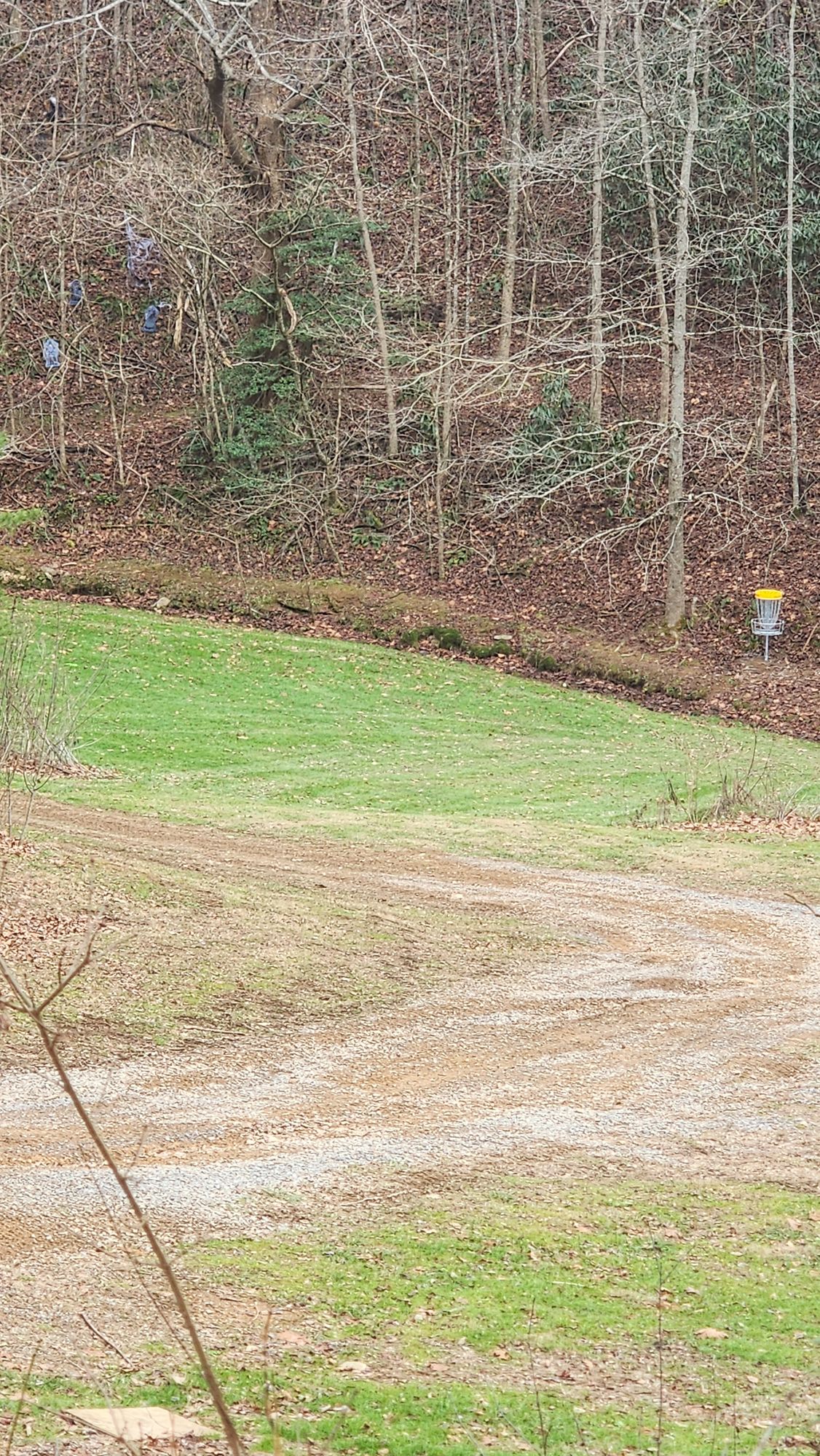 Hole 1 with the basket in the A position is a tempting ace run, but the OB  creek may give you second thoughts!