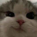 User avatar image